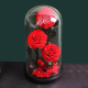 globe roses rouges saint valentin